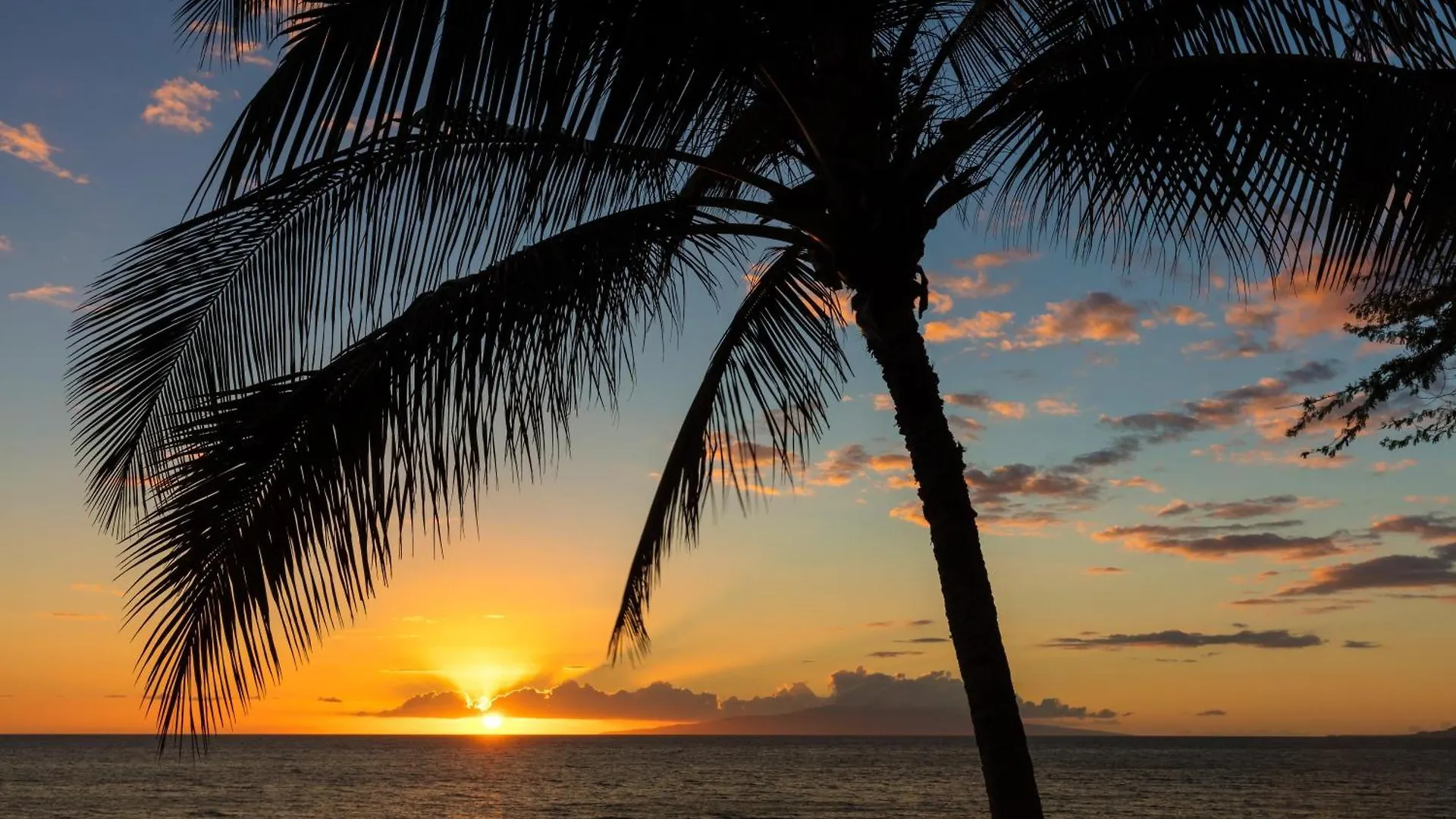 Vakantiehuis Hale Kalapu Villa Kaanapali Verenigde Staten